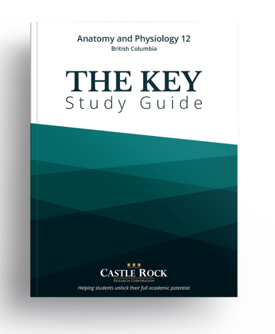 (BC Biology 12) Anatomy and Physiology (The Key Study Guide)