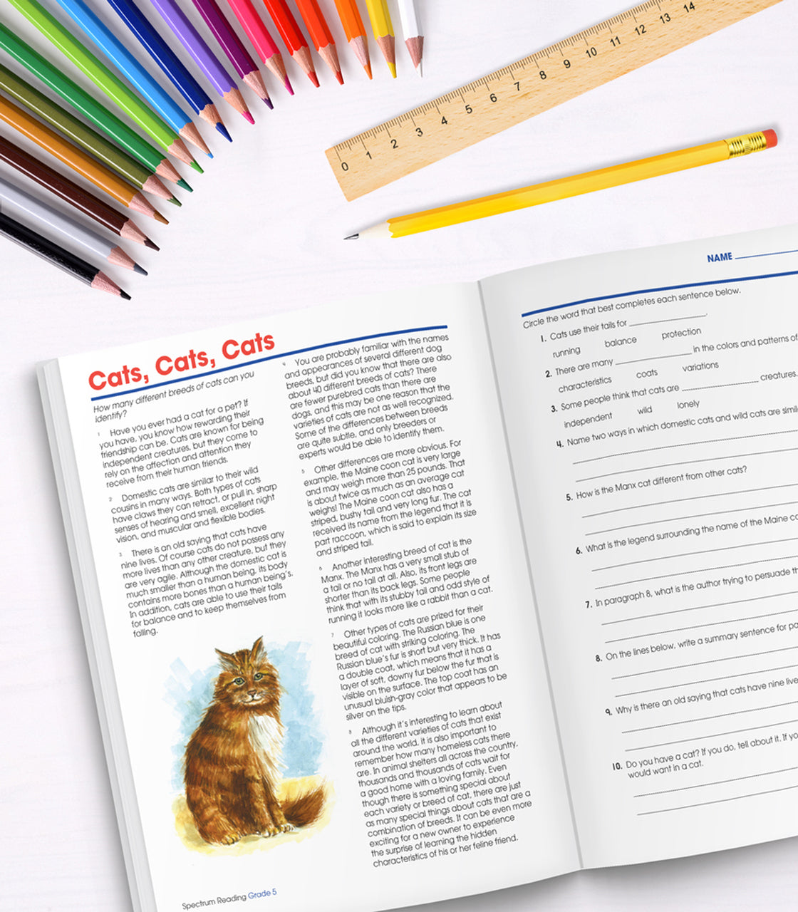 Spectrum Reading Grade 5