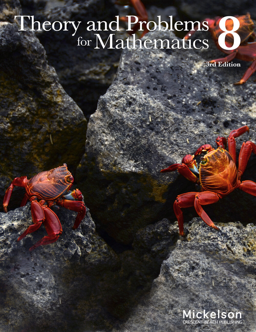 Theory and Problems Mathematics Grade 8 (3rd Edition)