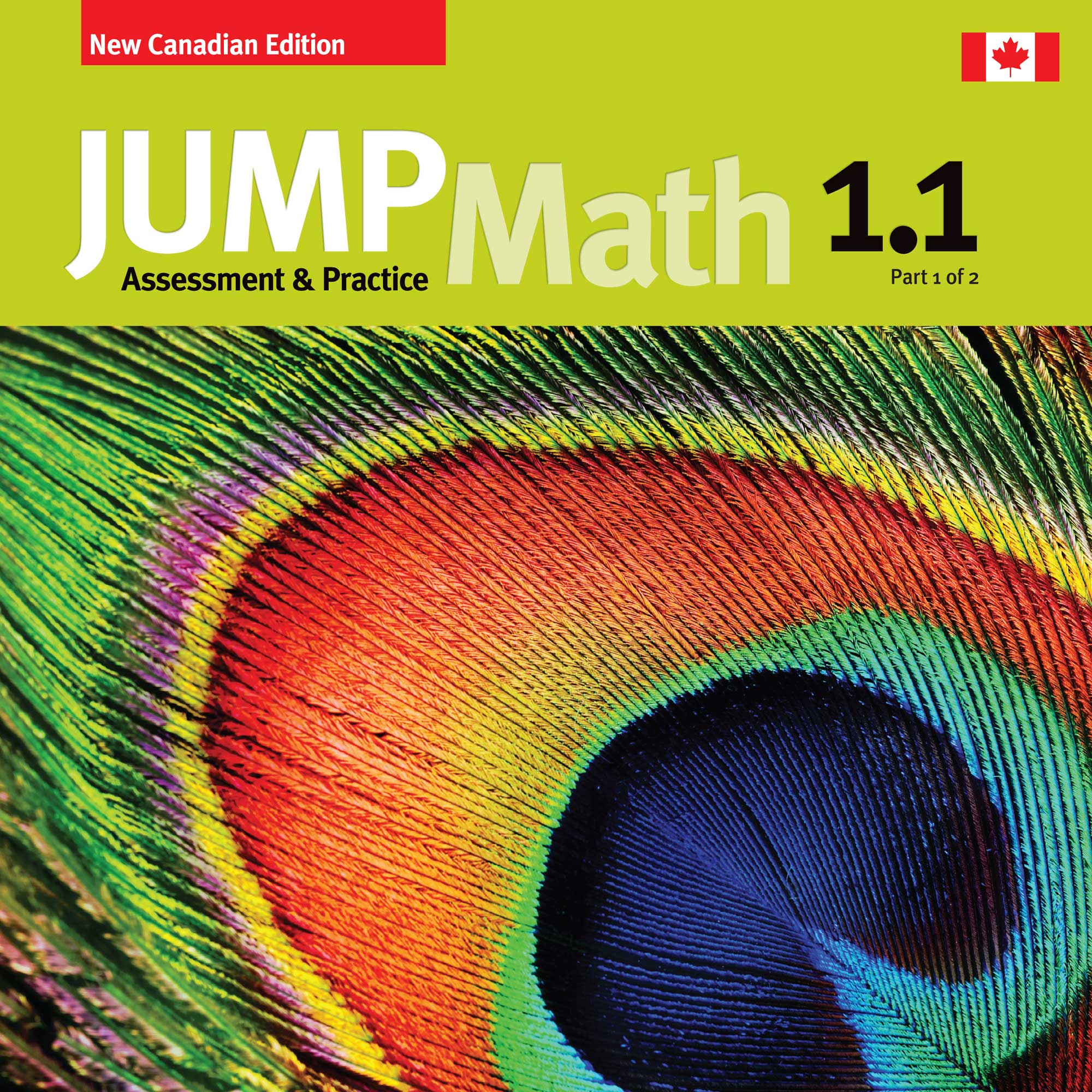 Track Math Facts Jump Math Jump Math 1.1 (New Canadian Edition) – Coquitlam EBS Bookstore ...