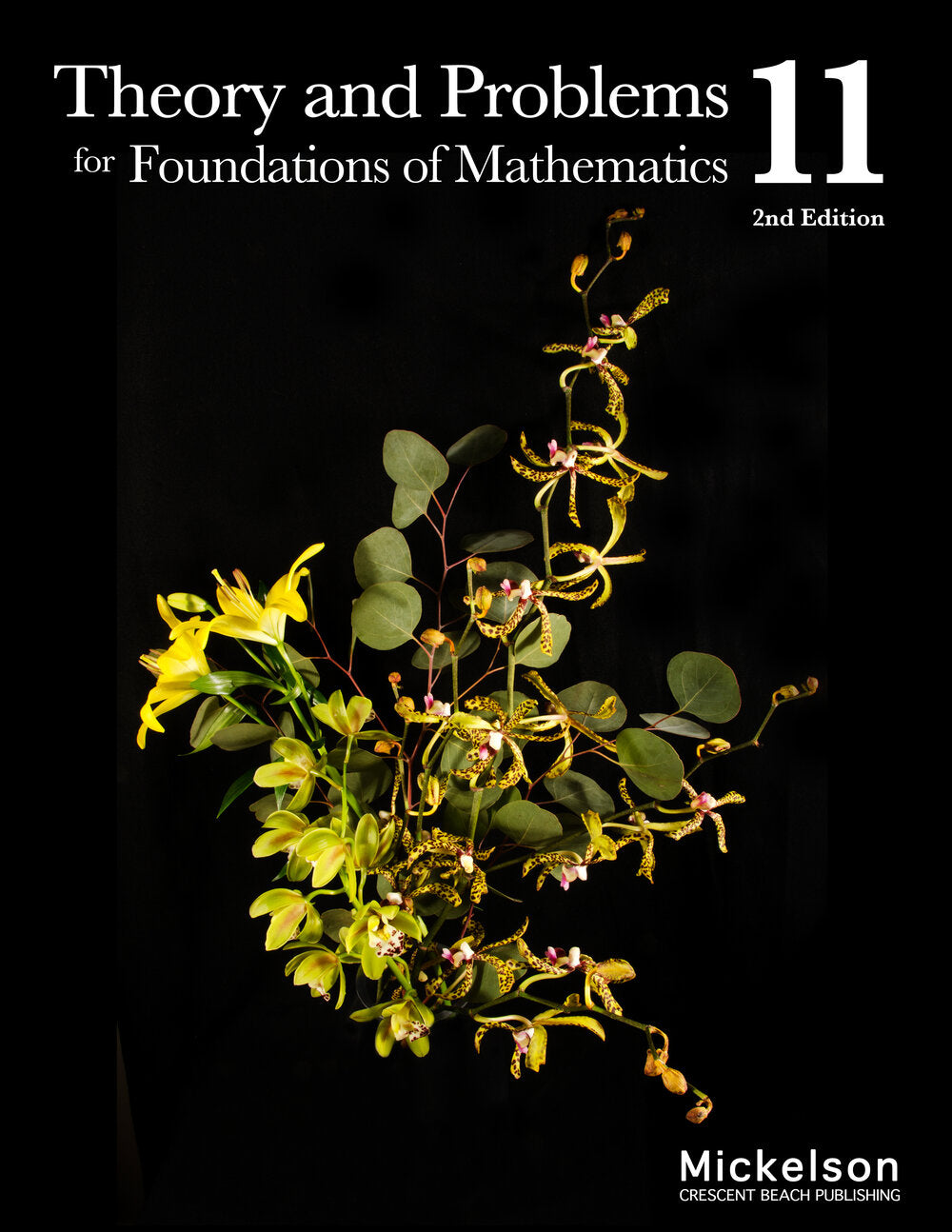 Theory and Problems Foundations of Mathematics Grade 11 (2nd Edition)