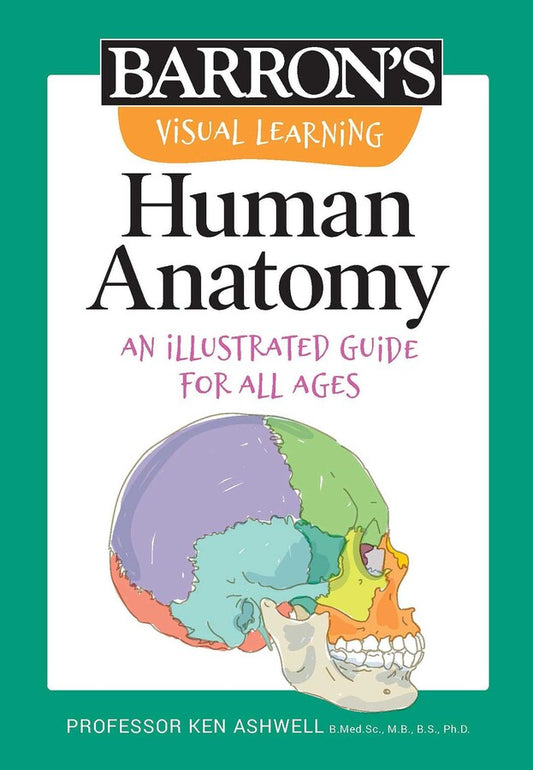 Visual Learning: Human Anatomy